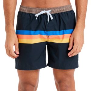 Bañador Baño Quiksilver Everyday Straight Volley 15